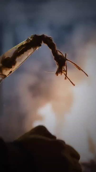 Один поджог и ты лишаешься будущего