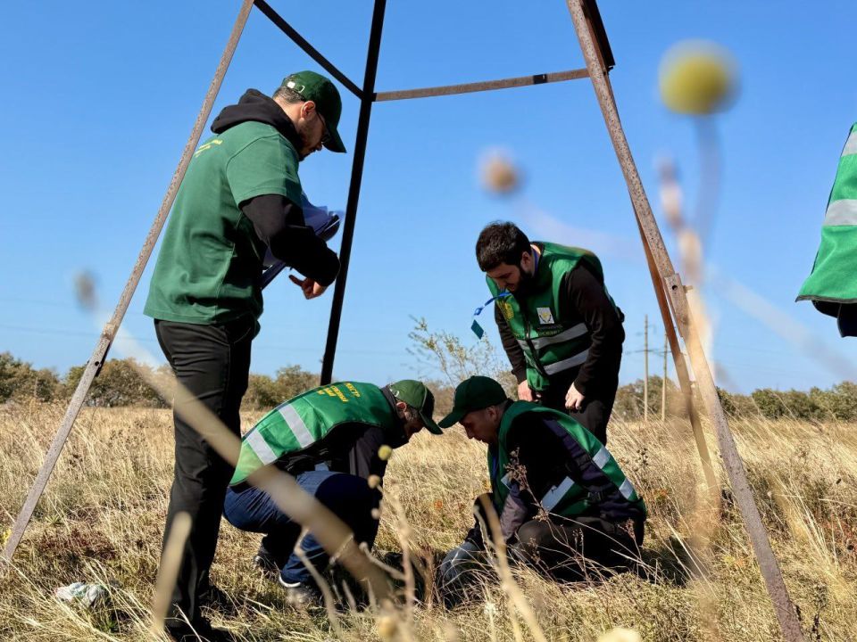 ���������� ���������� ���������� �� ��� ������� ������� �� ������������� ������� ����������������� ���������� ���������� �������� 2025�, ������� �������� � �����������