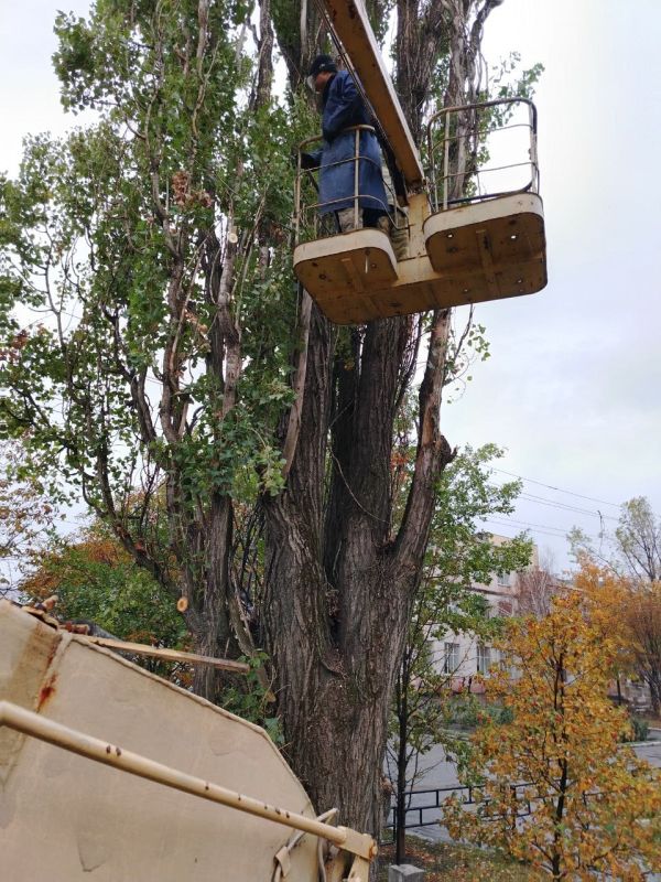 Андрей Рубанцов: Ровеньковские коммунальщик продолжают работать над спилом аварийных деревьев