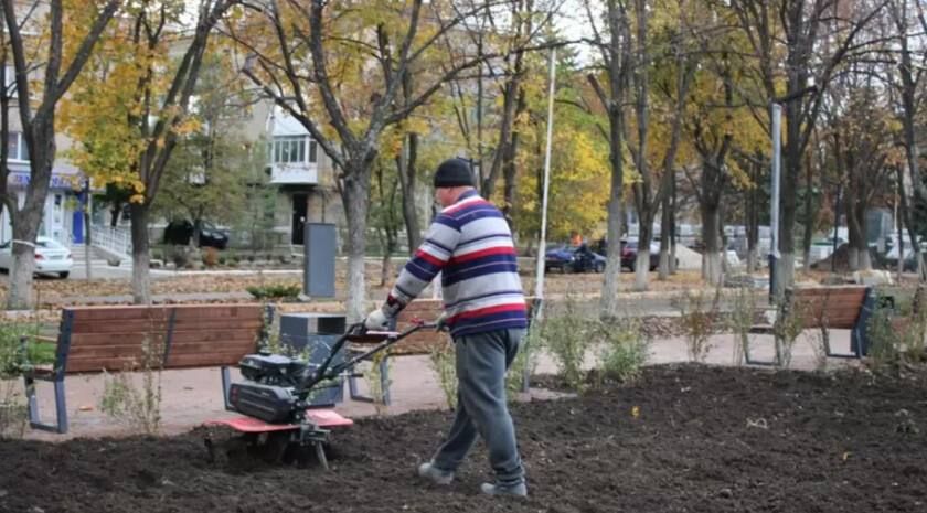 Специалисты практически завершили благоустройство «Каштановой аллеи» в Ровеньках