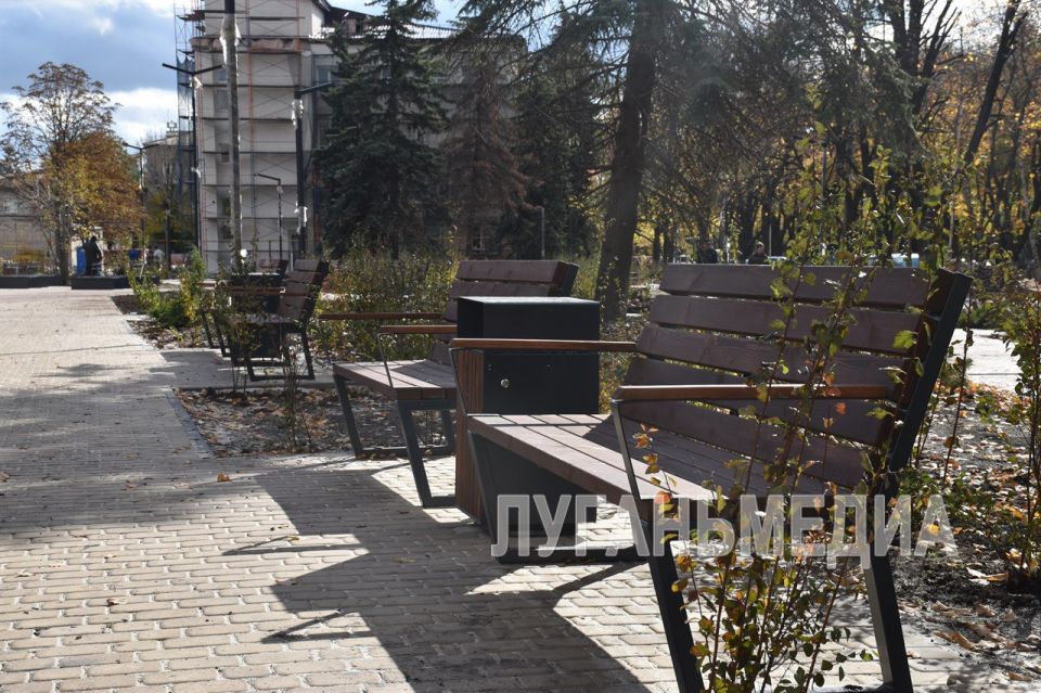 В Ровеньках продолжается реализация проекта «Каштановая аллея»