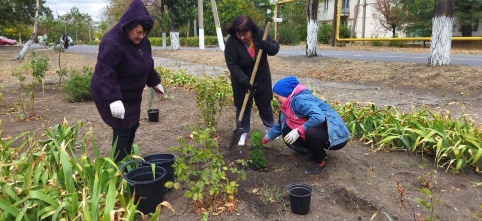 ������ �������: � ������������ ��������� �������� ��� ������� ����� �������������� ���������� �������� �������