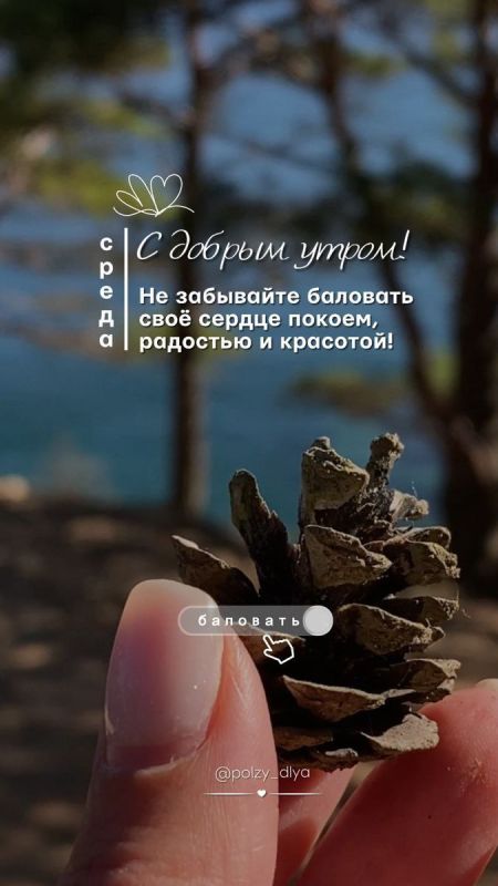 � ������ �����!. ������� 15 �������