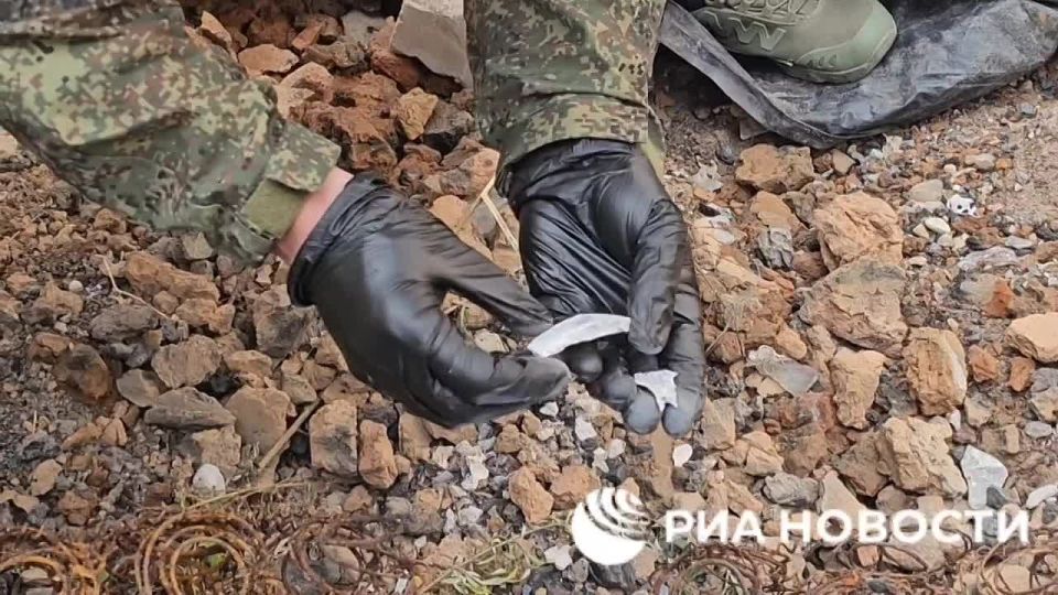 Останки женщины - предположительно, жертвы ВСУ - обнаружили в доме поселка Вороново под Северодонецком в ЛНР, передает корреспондент РИА Новости