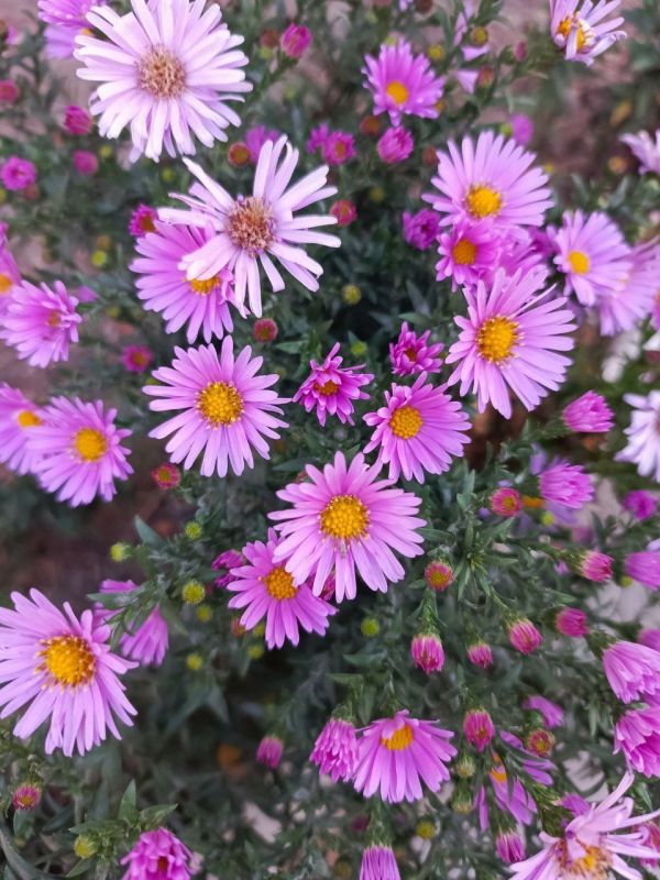 С добрым утром!. Пусть оно начнётся с чего-то радостного и прекрасного