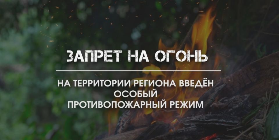 Отдел надзорной деятельности и профилактической работы по городу Северодонецку УНД и ПР ГУ МЧС России по ЛНР напоминает: