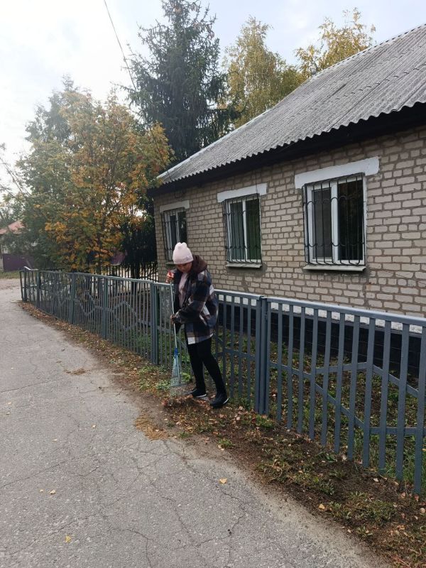  :   ,    - 17  2025 ,            