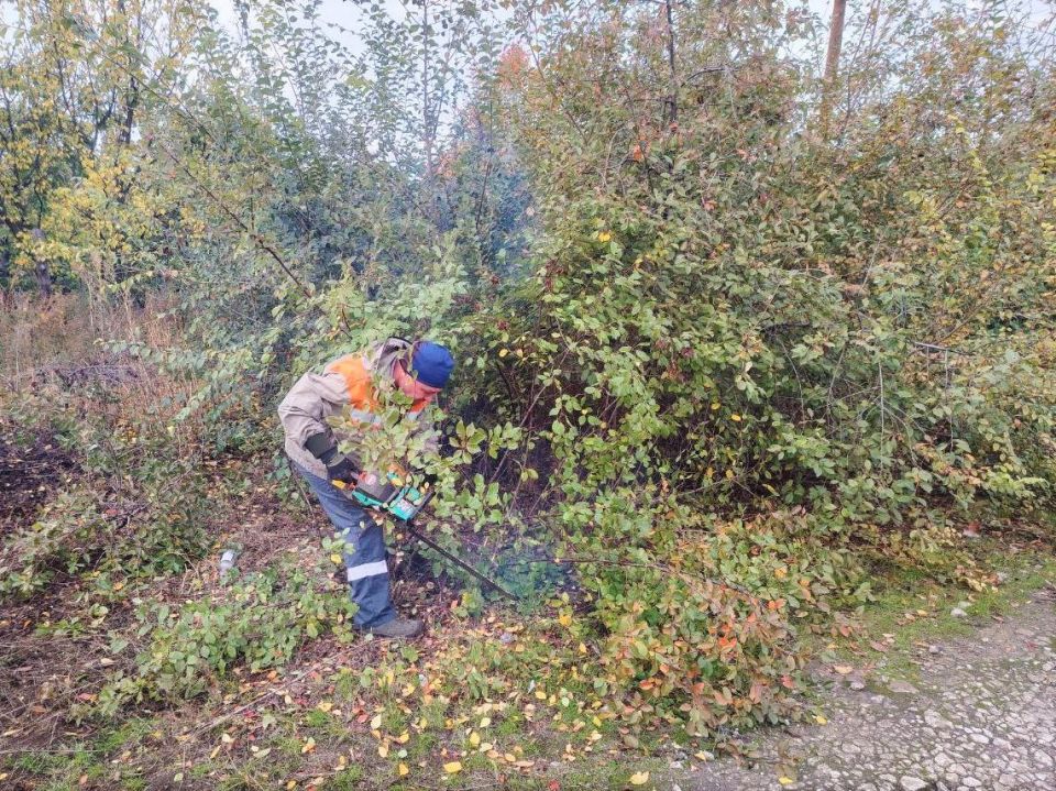 Рабочие Удмуртии проводят санитарную опиловку кустарников в поселке Белое