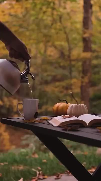 � ������ �����, ������ �������������� ������! ���� �������� �������!