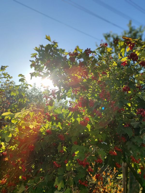 Доброе утро!. Пятница, 17 октября, приготовила для нас стабильную и в целом приятную погоду