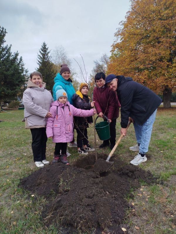 В Троицком муниципальном округе состоялось мероприятие, при содействии Главы Администрации Резниковой Ларисы Васильевны, приуроченное ко Дню отца – совместная высадка саженцев в парке 30 лет Победы