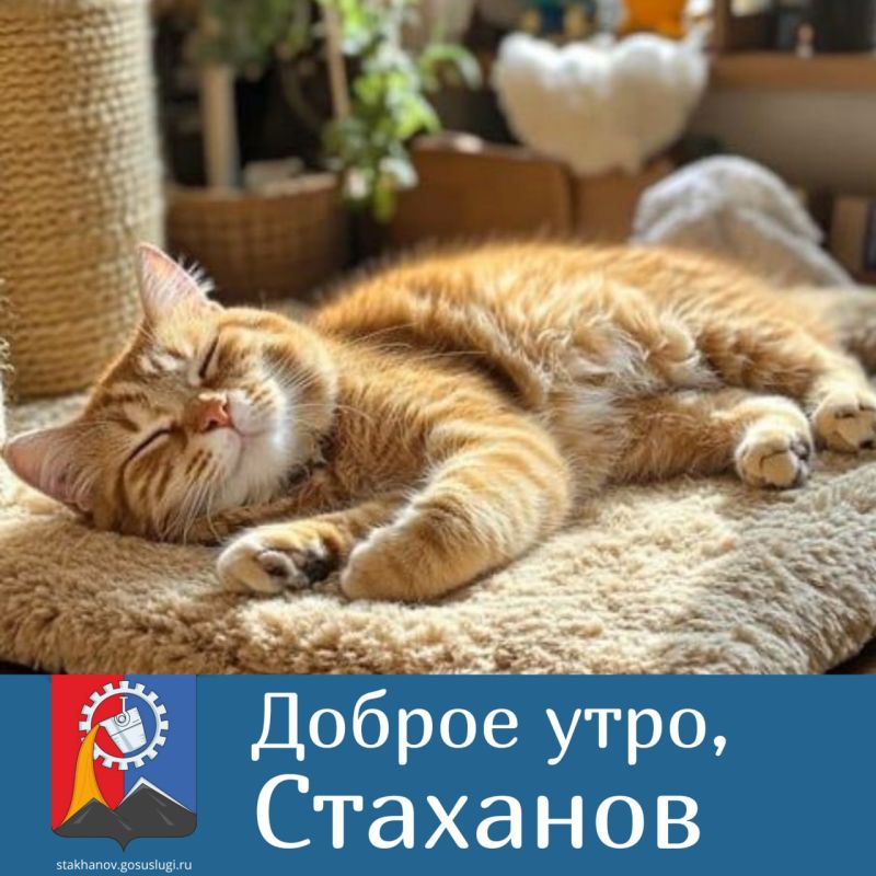 ������ ��������� ����, ��������