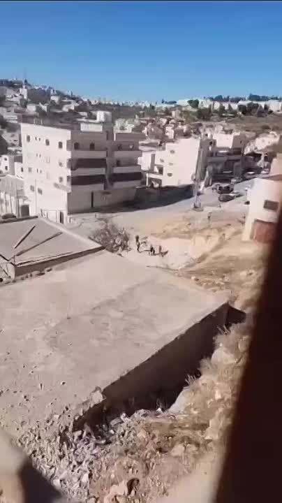 ����������� ������������� ������� �������� � ����� ���� ��������� ������������ ����� � ������ ���-�������, � ��� �� �������, �� �������������� �������� ������