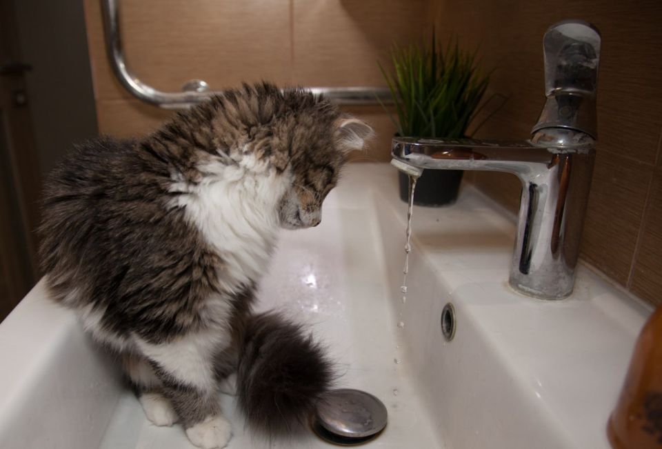 В ЛНР на ряде территорий 18 октября отключат водоснабжение