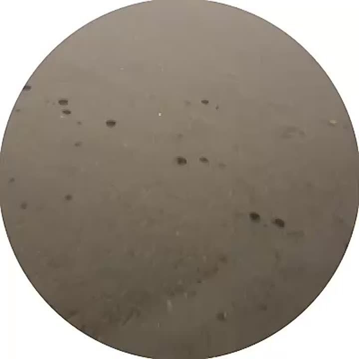 ���� �� ��������� - ��������� ������ �������� �� ������������ � ��������