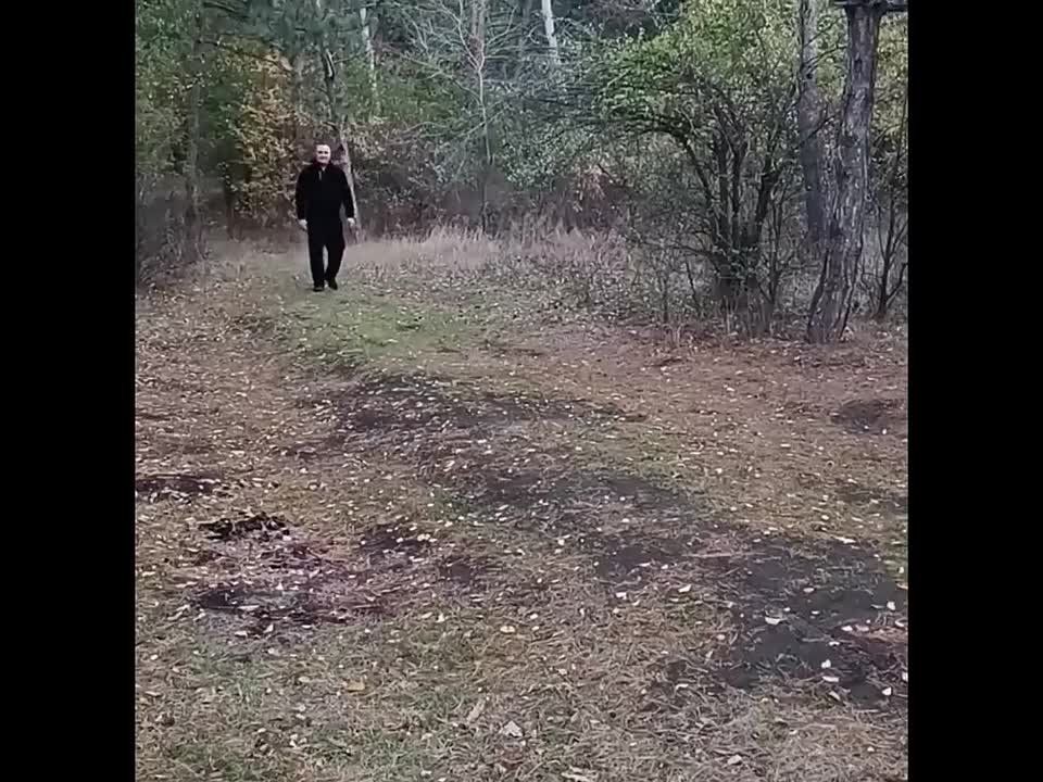 День отца — особенный праздник, наполненный теплом, гордостью и благодарностью