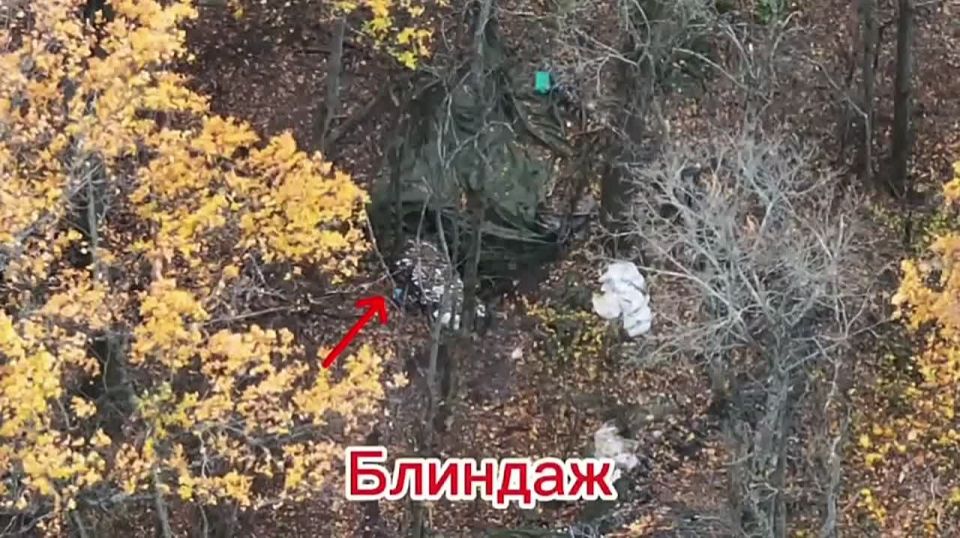 ���������: ����� ������ ������������� ��������������� ������������� � ����������� �������� ���