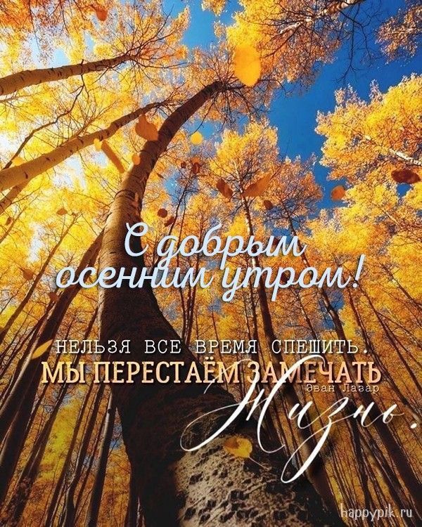 � ������ �����!. ������� 20 ������� - �����������
