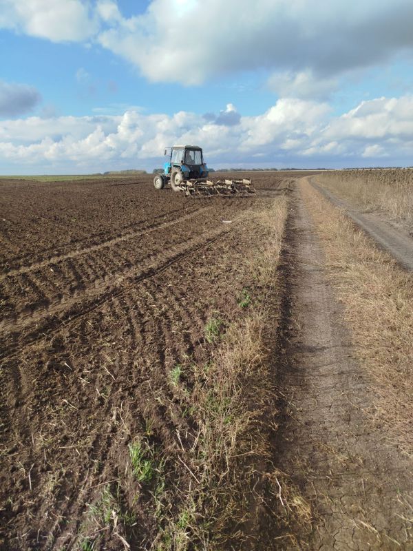 Сев озимых культур под урожай 2026 года