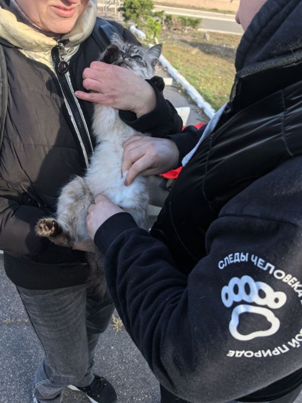 Помощь хвостатым по всей ЛНР