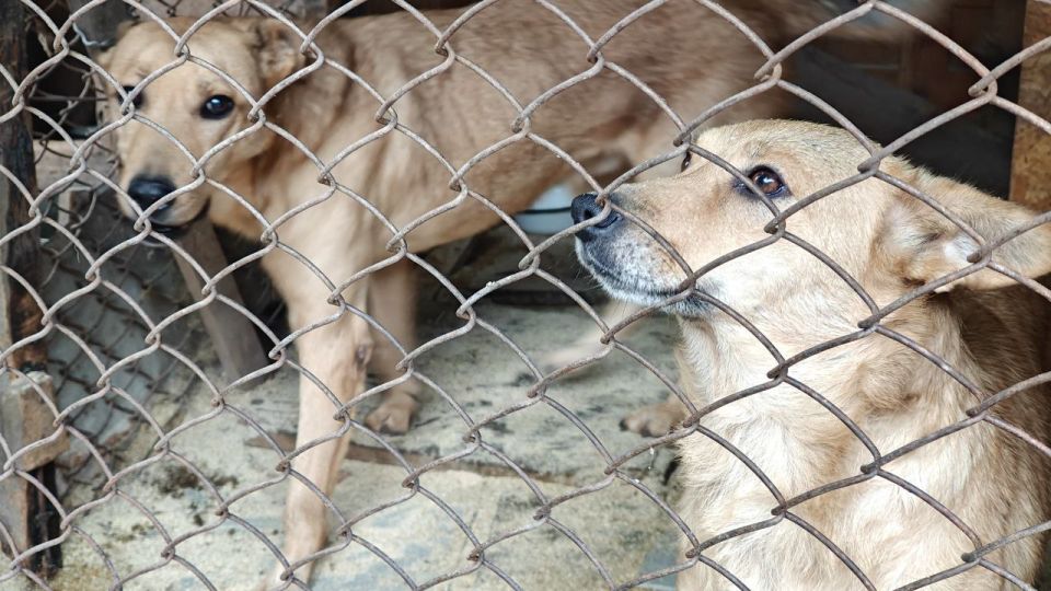 ���������� ������ ��� �������� �������� 300 �� ����� � ������ ��������� ������������� ���������