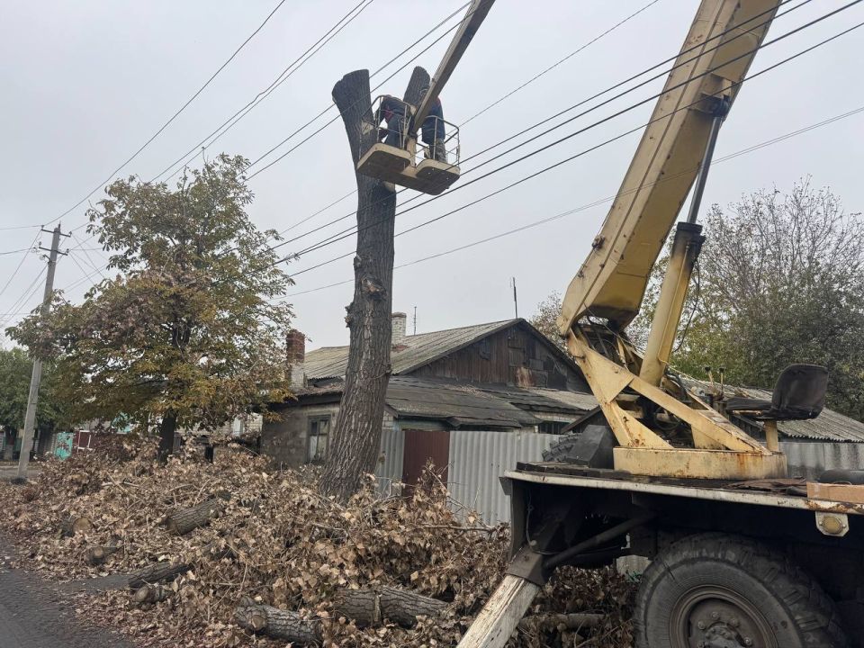 Сегодня в пгт Кленовый по улице Полевой было удалено аварийное дерево