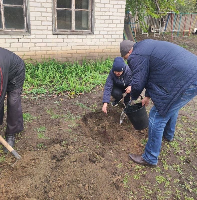 "Число высаженных деревьев в стране превышает темпы вырубки