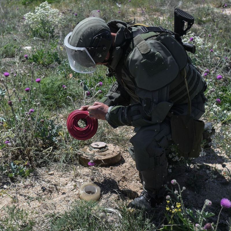 Ольга Бас: В год Защитника Отечества и выполняя поручение Президента РФ, сегодня были одобрены изменения в Федеральном законе «О ветеранах»