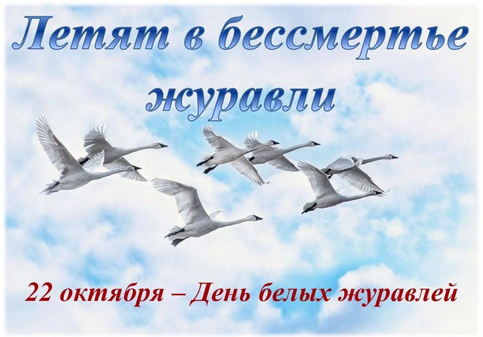 �������� �����: ��� �������� ������� � ������