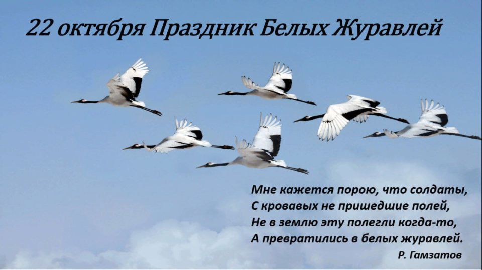 ��.�����, ����� �� ���� ���� ������酻