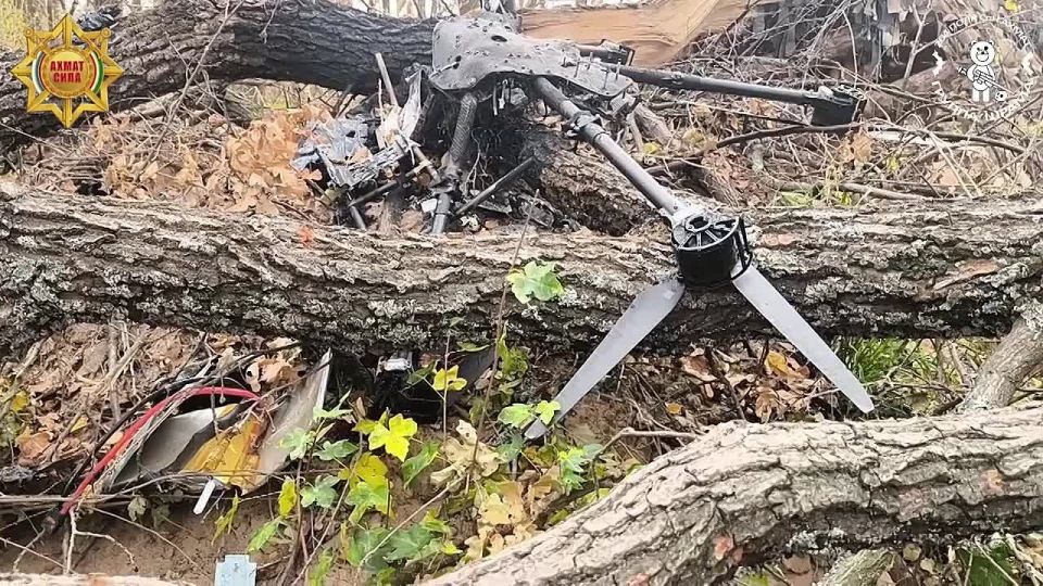 ��������� ���-������ ������ ������� ��� �����һ �� �� ��������, �� ��� ��� ��������