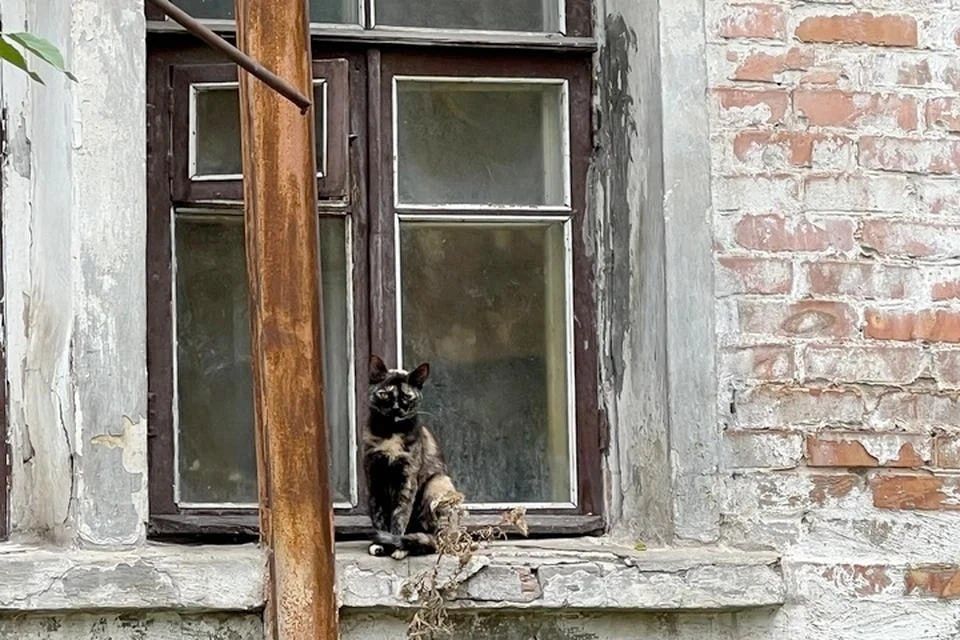 ЛНР выделили 1,25 млрд рублей на переселение 496 жителей из ветхого жилья