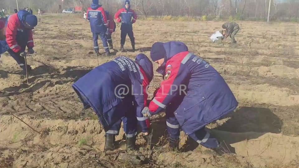 ������ ���������� ��������� � �������������� ���������� � ����������� ������������� �������� ������� ����� � ��������-��������� ������ � ������ ������������� ����� ��������� ���