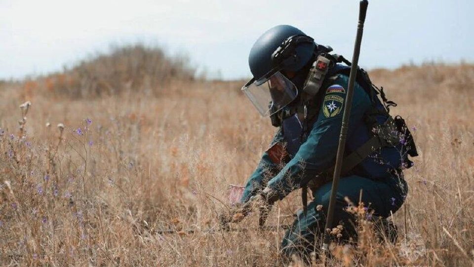 ����������� ��������: ������ ������� ���������� ��� ������������� ���������. ������� ������� � 22:00