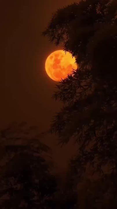 ����. ������ �� ���� �����������