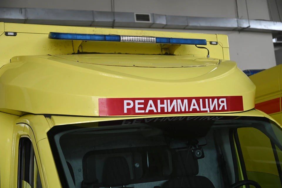 ����� �� ����� ������������ � ��������: ��� ������������, ���� � ������ ���������