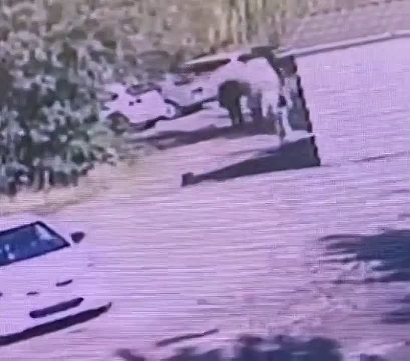 ��������� ����� ���������� ������ � �������� � ������� ������� ������� �� �����