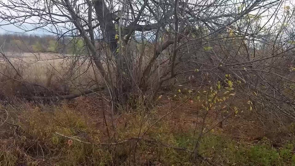 � �������� ����� �������, ������� ������ 10 ���� �����