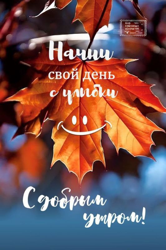 � ������ �����!. ������� 24 ������� - �������