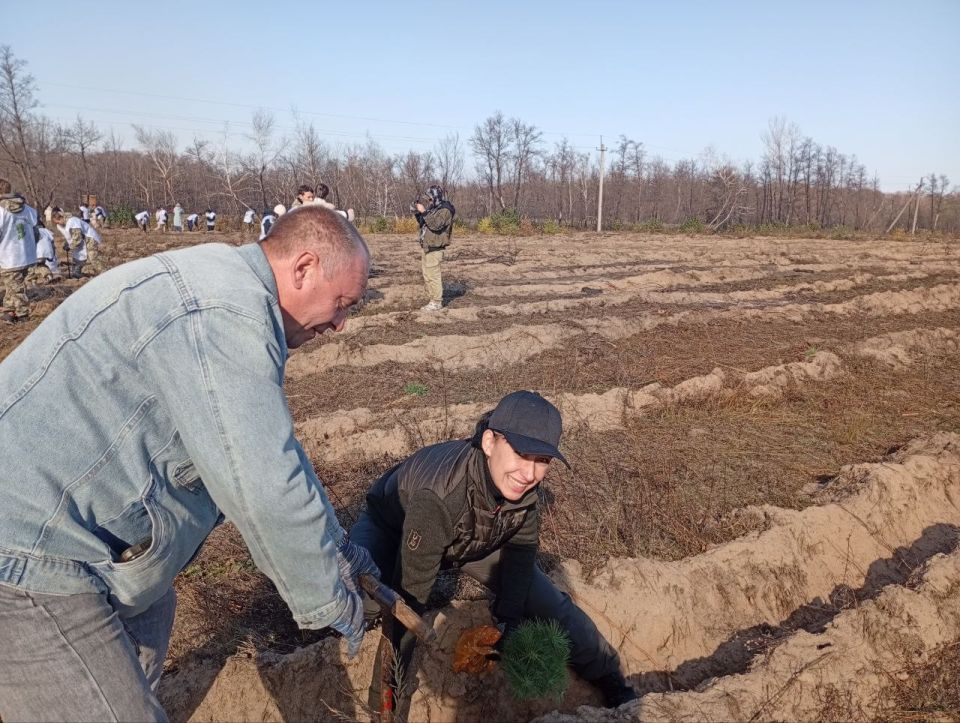 ������ ���������� ������ ����������������: �� �������������� ���� �� ������ �������