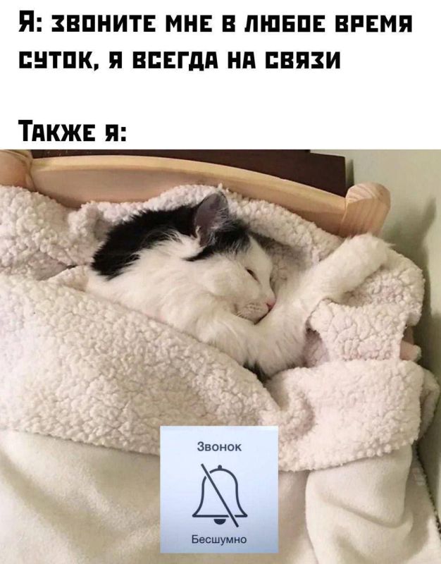 ����� ��������� �������� ��� ����� �� �������� �� ������� ������
