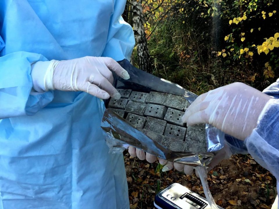 ������ �������: � ���������� ���������� ���������� ����� �������� �� ���������