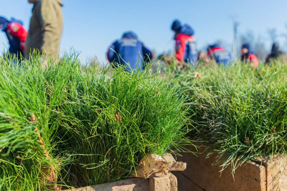 ������ �������: � ���������� �������� ������������� ����� ��������� ���