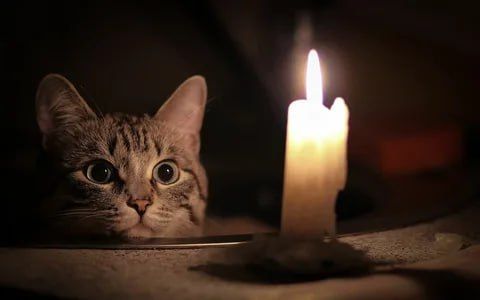 � ������ � ��� ����� ���� ���������� �������������