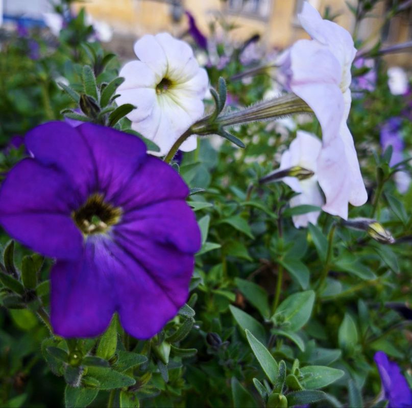 Доброе субботнее утро, кировчане!