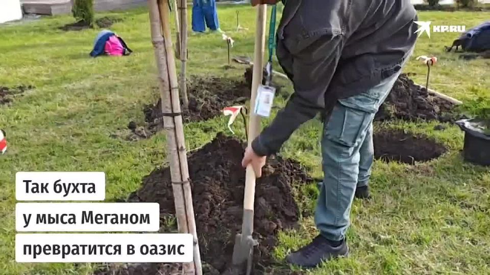 "����������" ���������. �������������� ���-������� �������� �� ������� ��������� ��������� � �����