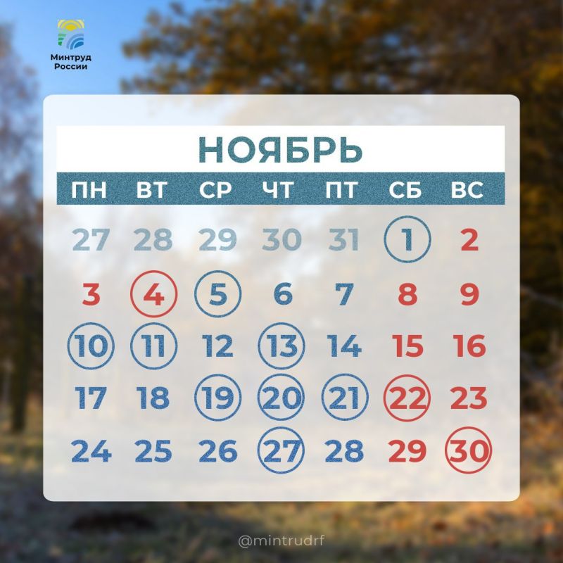 Константин Бутримов: Сегодня в рубрике #PROДень – профессиональные и семейные праздники, дополнительные выходные ноября