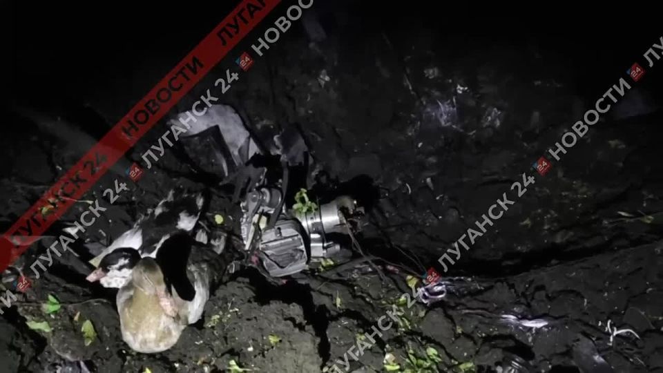 ���� ����� �������. �������� ���������� � ������� ���������� ����� � ����� ����� ��������
