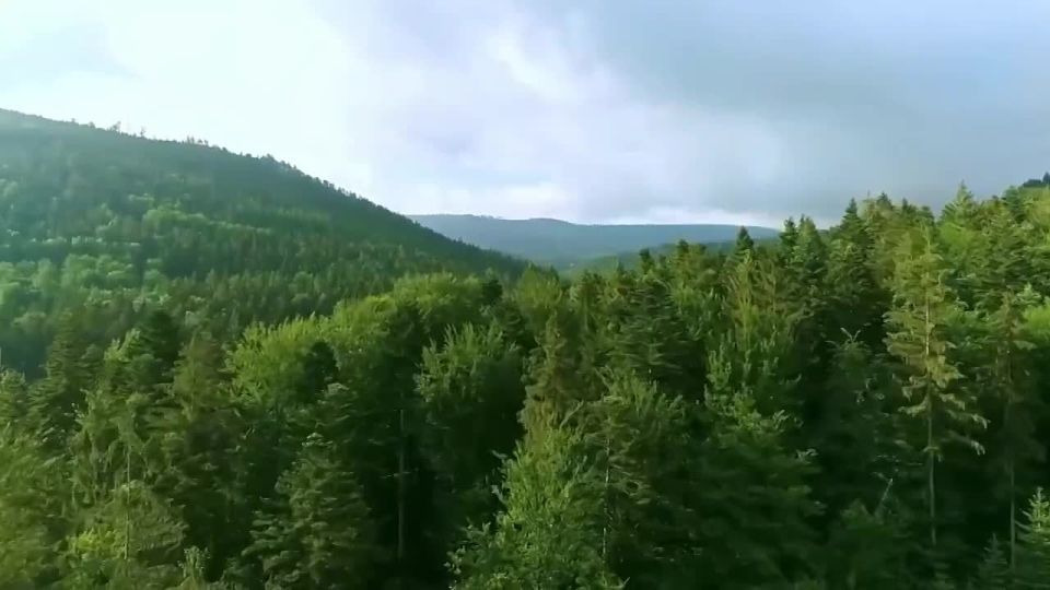 ������� ������� ����. ������� � �������������� ����� ���� ��� ���� ������ �������, ���������� � ����������� ��� �� ��� �� �����