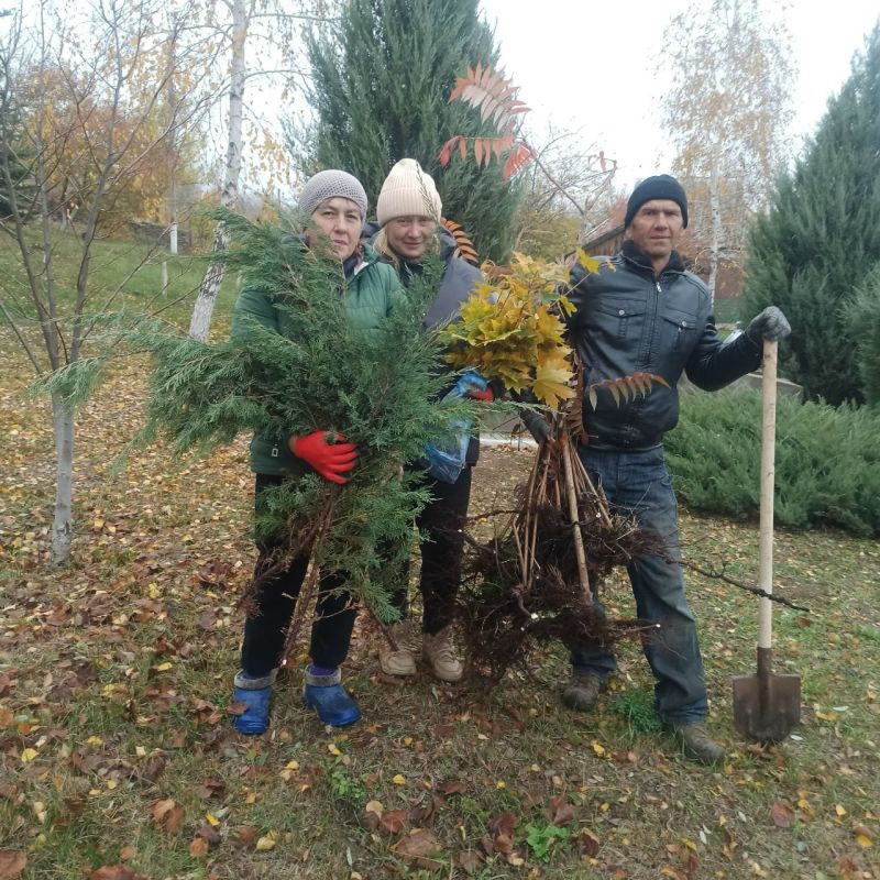 27 октября жители пгт Городище приняли участие во Всероссийской акции «Сохраним лес»
